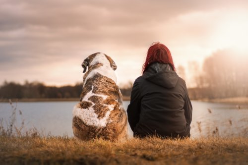 L'accompagnement Canin Offert par Le Monde du Chien 34